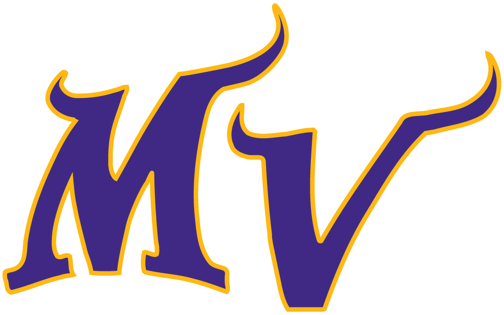 Minnesota Vikings 2004-Pres Alternate Logo iron on transfers for clothing